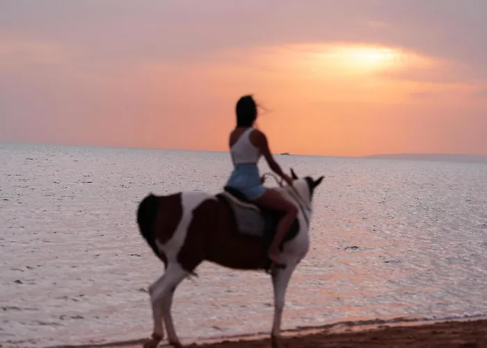 Resort Dawar El Omda (adults Only)